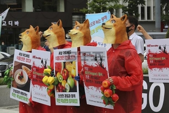 south korea mock funeral for dog held on meat day